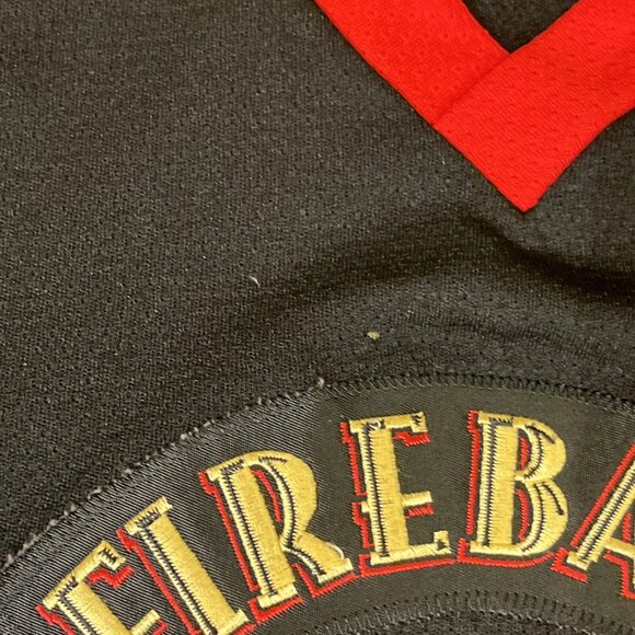 Fireball Whisky Hockey Jersey Large Black Stitched Raised Lettering #66 Projoy - Picture 14 of 16